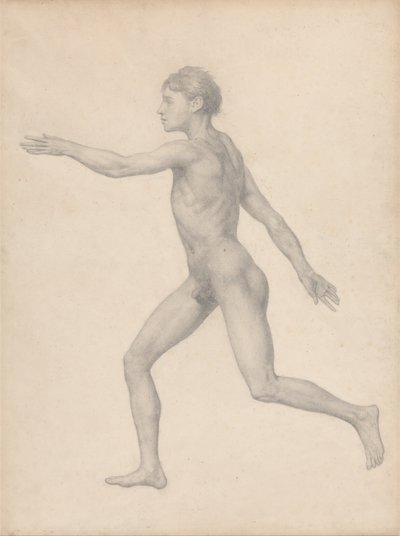 A Comparative Anatomical Exposition of the Structure of the Human Body with that of a Tiger and a Cow by George Stubbs